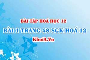 Bài 1 trang 48 SGK Hoá 12: Tính chất Hoá học, tính chất Vật lí, Cấu tạo của Amino Axit